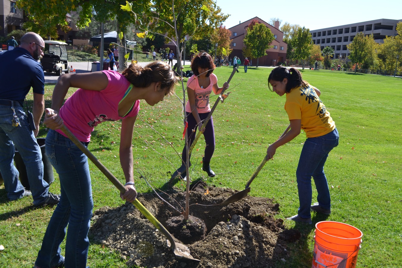 students planting trees